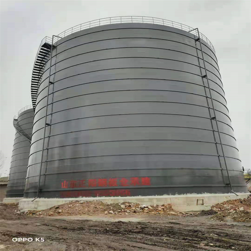 长垣3万吨大型钢板库