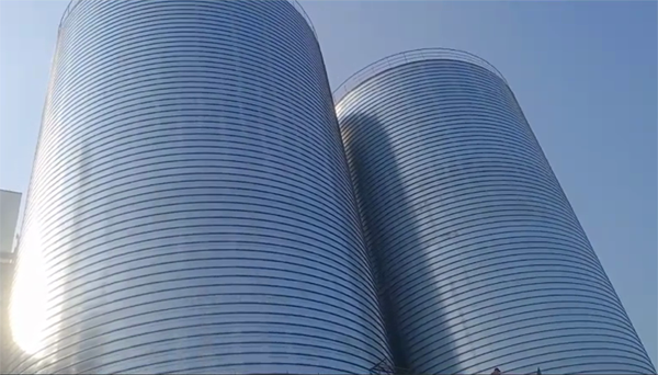 长垣2座混凝土高架卷板仓